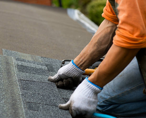 Best Roof Maintenance Services  in Gladstone, MI