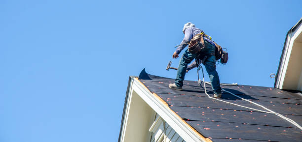 Best Residential Roof Replacement  in Gladstone, MI